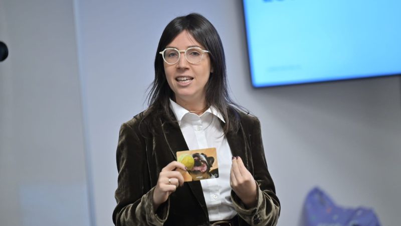 *Maia Saps - Directora de Iceberg Consultora*