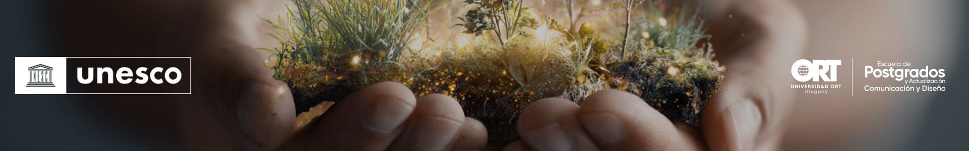 Beca concursable 50 % - UNESCO / ORT